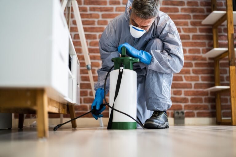 Why Hire a Professional Exterminator in Norway Expert Pest Control Tips