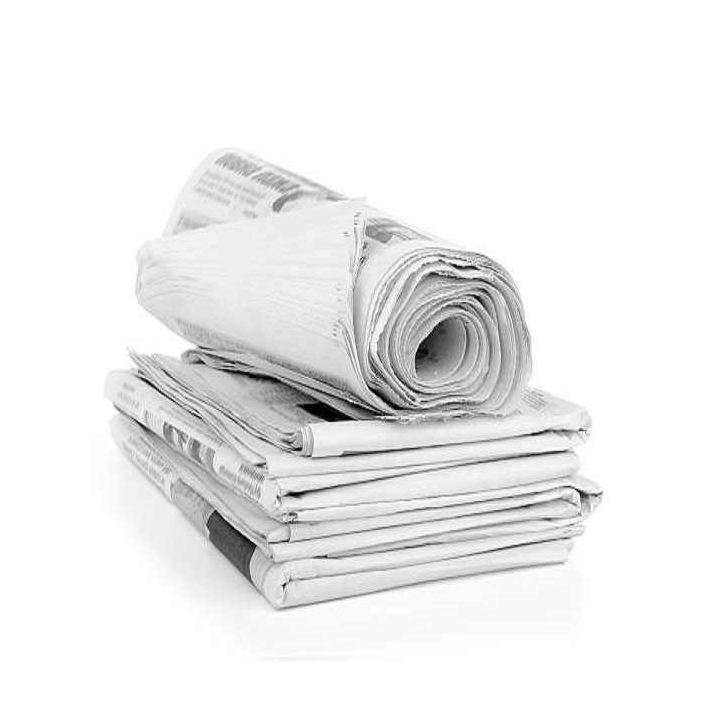 Newspaper
